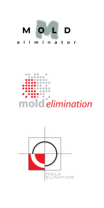 mold elimination3